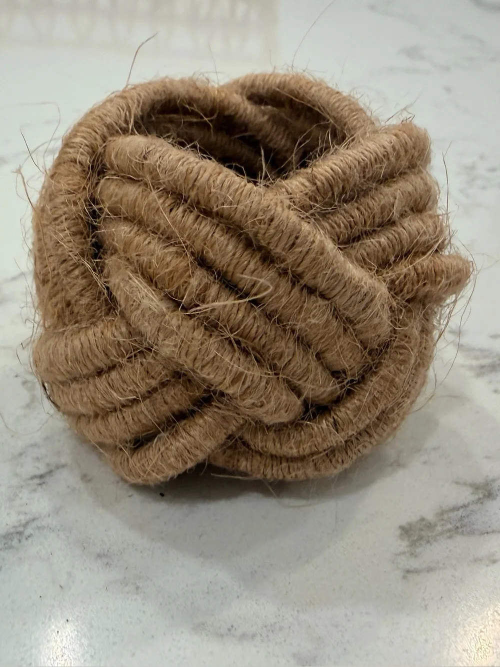 Natural woven jute placemat chargers (6) + napkin ring set